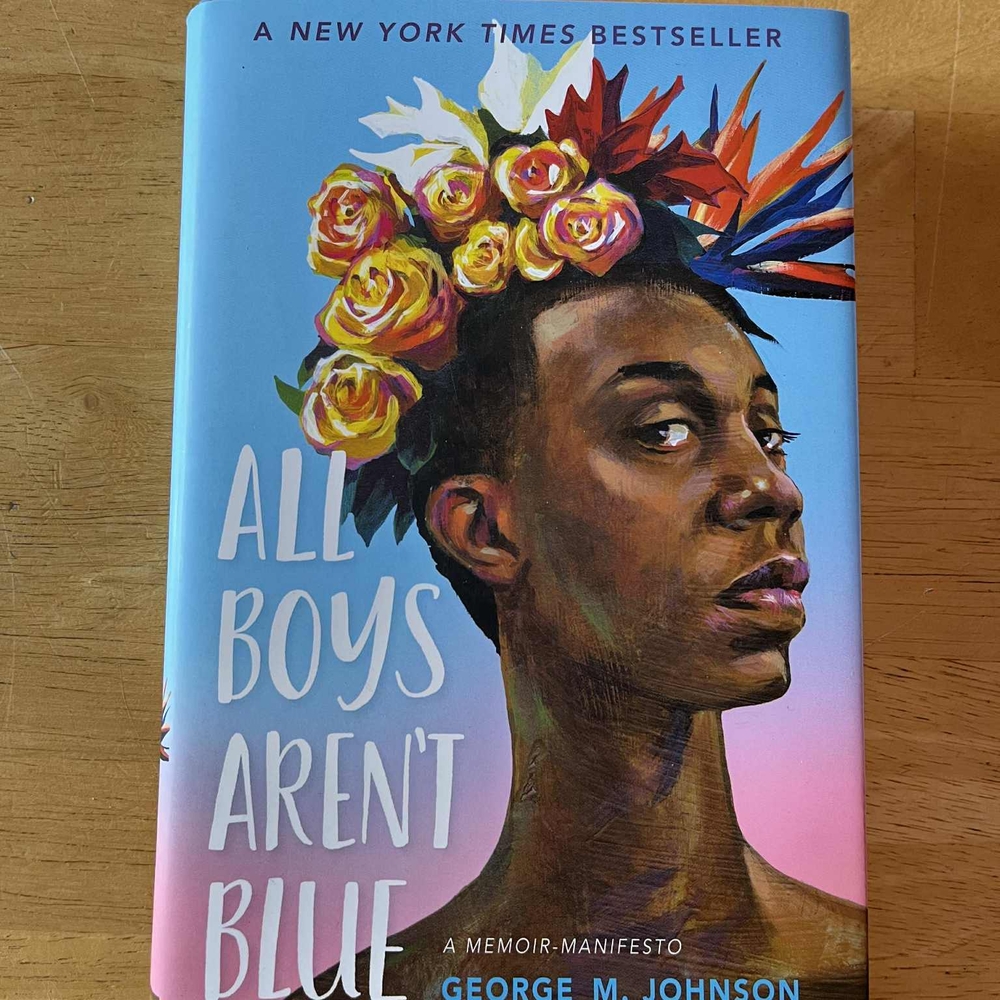 All Boys Aren't Blue Book